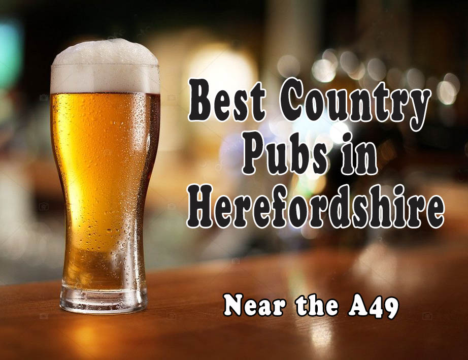 Best Country Pubs near the A49 in Herefordshire The Queen Bee Cabin