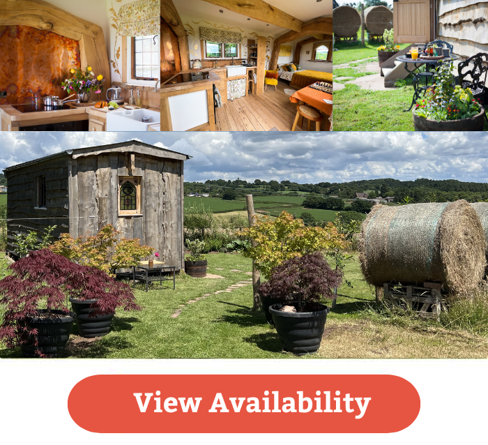 availability availability